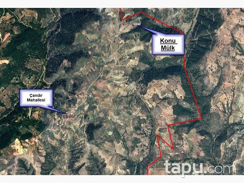 Manisa Demirci Çandır Mahallesi'nde 2.050 m2 Meyve Bahçesi