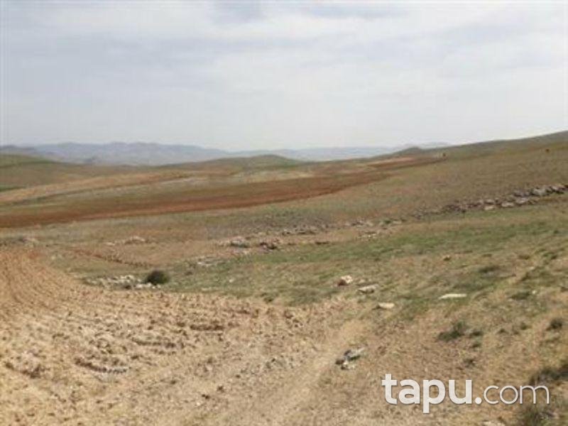 Elazığ Merkez Alatarla Köyün'de 9.318 m2 Tarla