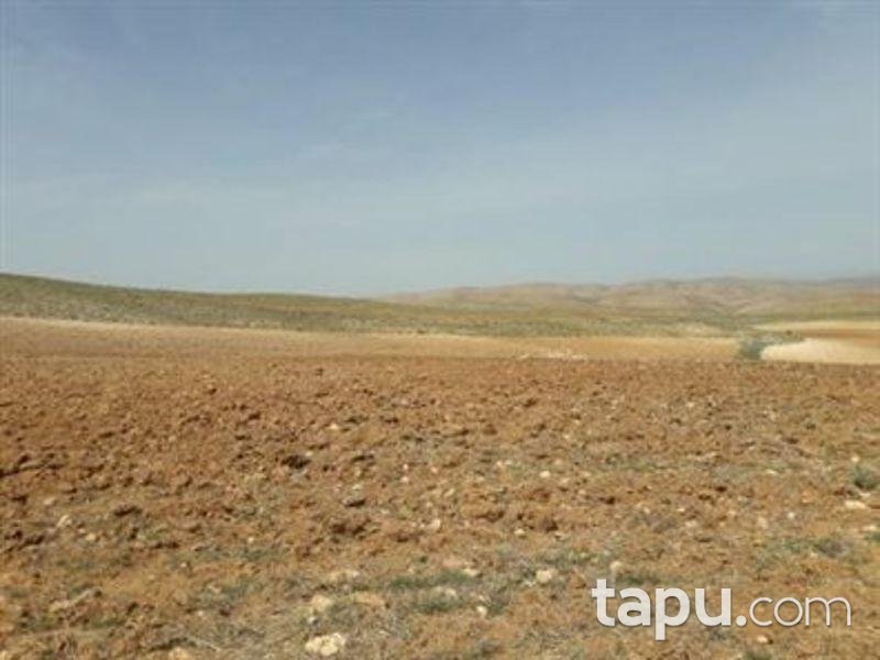 Elazığ Merkez Alatarla Köyün'de 9.318 m2 Tarla