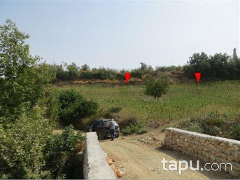 Hatay Altınözü Yunushan Mahallesinde 6453 m2 Tarla