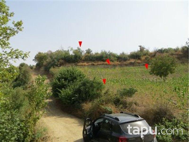 Hatay Altınözü Yunushan Mahallesinde 6453 m2 Tarla