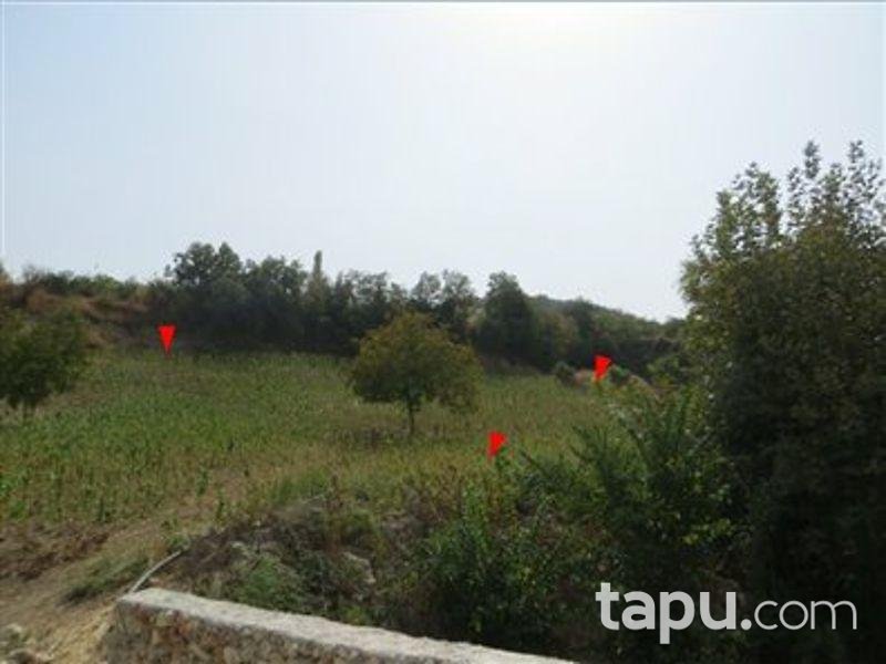 Hatay Altınözü Yunushan Mahallesinde 6453 m2 Tarla