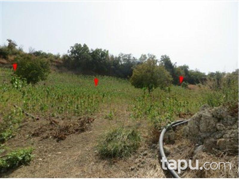 Hatay Altınözü Yunushan Mahallesinde 6453 m2 Tarla