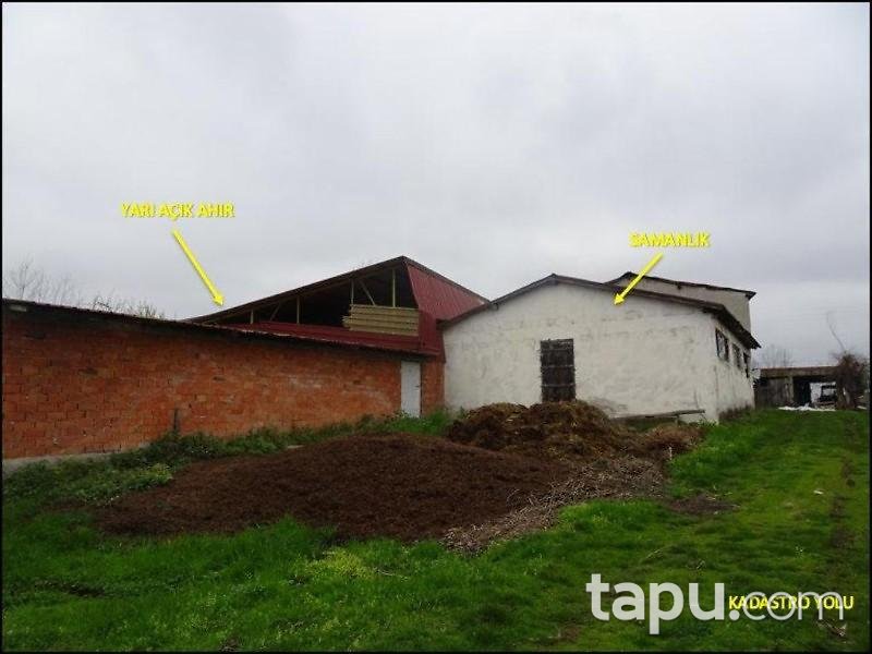 Samsun Çarşamba Şeyhgüven Mahallesinde Kargir ve Fındık Bahçesi