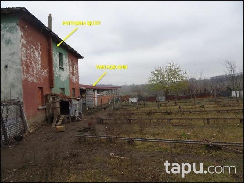 Samsun Çarşamba Şeyhgüven Mahallesinde Kargir ve Fındık Bahçesi