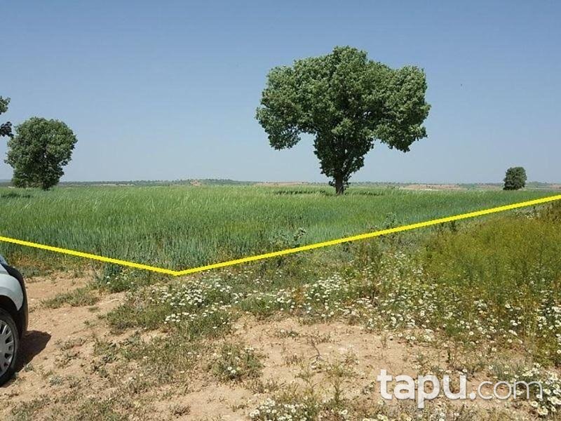 Uşak Sivaslı Ağaçlıbey Köyü'nde 26.300 m2 3 Adet Tarla