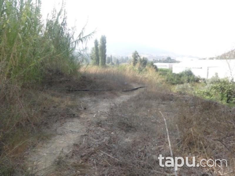 Mersin Anamur Gercebahşiş Mahallesinde 5.620 m2 Tarla