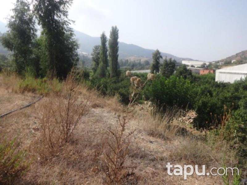 Mersin Anamur Gercebahşiş Mahallesinde 5.620 m2 Tarla