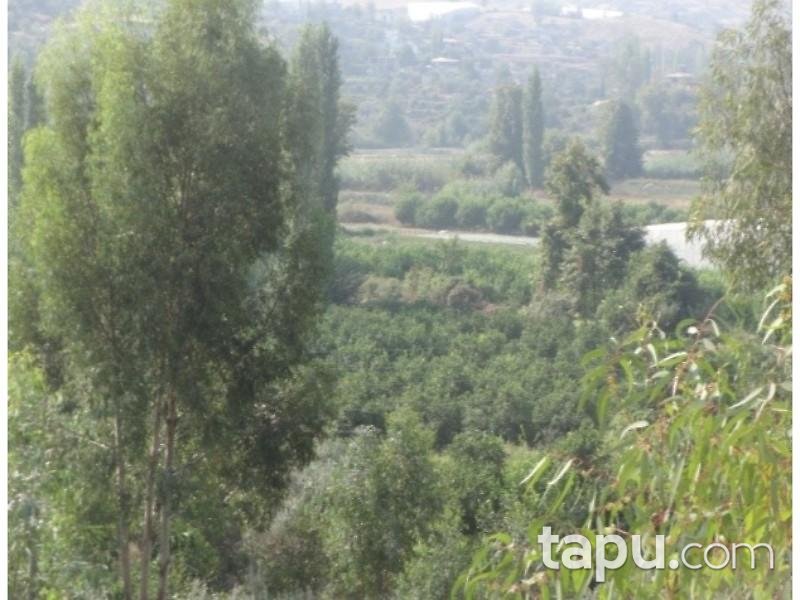 Mersin Anamur Gercebahşiş Mahallesinde 5.620 m2 Tarla