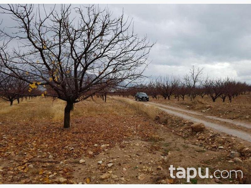 Isparta Yalvaç Aşağı Kaşıkara Köyü Hüyük Mevkiinde 14.350 m2 Tarla