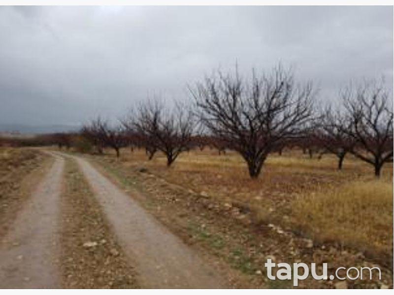 Isparta Yalvaç Aşağı Kaşıkara Köyü Hüyük Mevkiinde 14.350 m2 Tarla