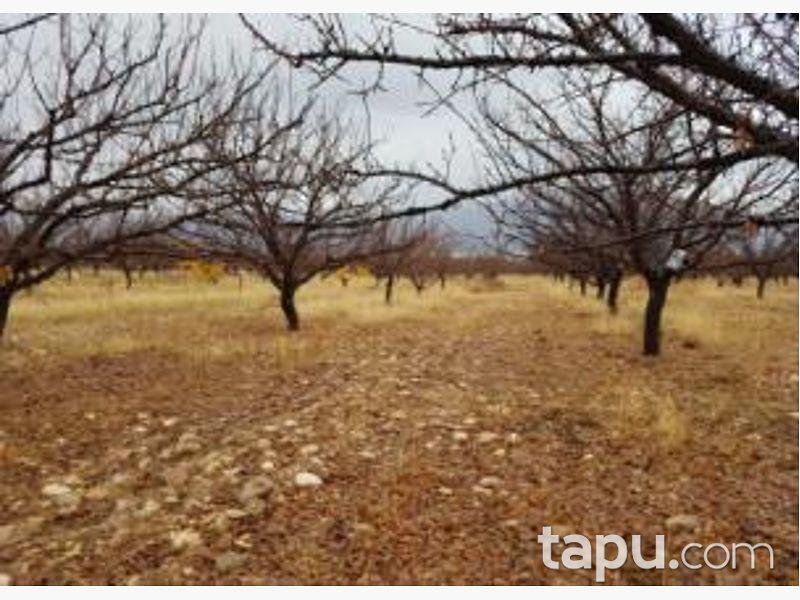 Isparta Yalvaç Aşağı Kaşıkara Köyü Hüyük Mevkiinde 14.350 m2 Tarla