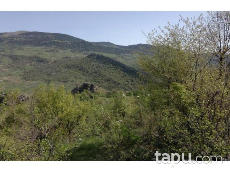 Antalya Alanya Karapınar Köyü Gödre Mevkiinde 5193 m2 Tarla