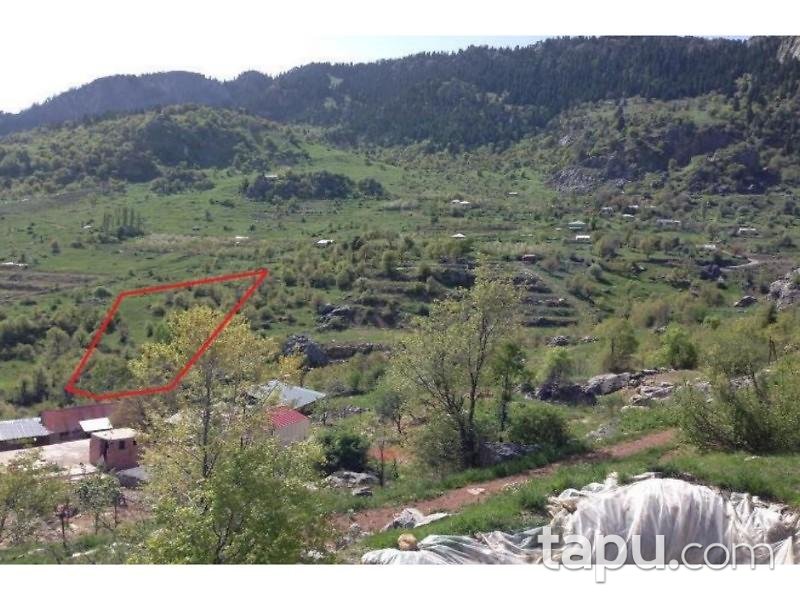 Antalya Alanya Karapınar Köyü Gödre Mevkiinde 5193 m2 Tarla