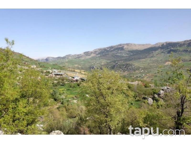 Antalya Alanya Karapınar Köyü Gödre Mevkiinde 5193 m2 Tarla