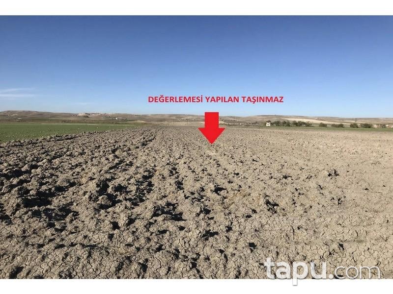 Ankara Polatlı Sazılar Köyü Çaysuvat Arkı Mevkiinde 20.378 m2 Tarla
