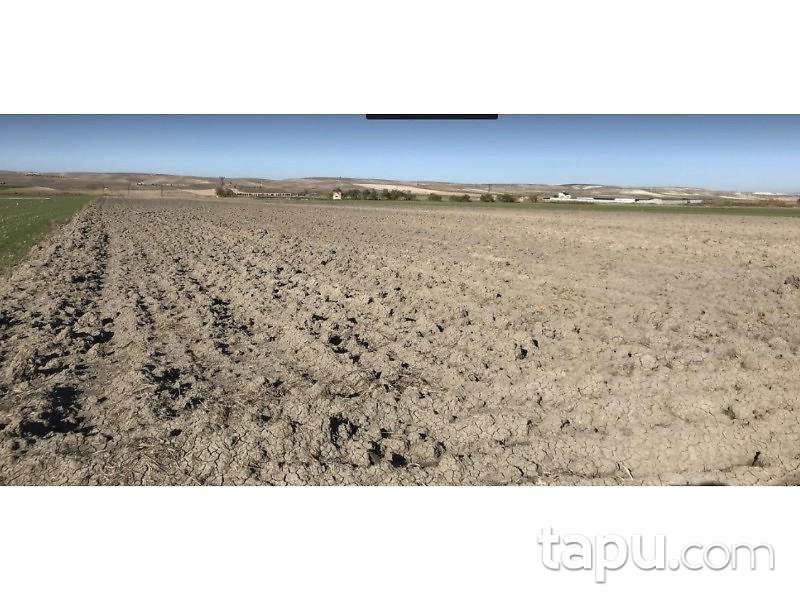 Ankara Polatlı Sazılar Köyü Çaysuvat Arkı Mevkiinde 20.378 m2 Tarla