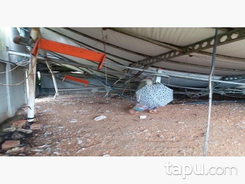 Sakarya Kaynarca Büyükyanık Mahallesinde Tavuk Çiftliği Ev ve Tarla