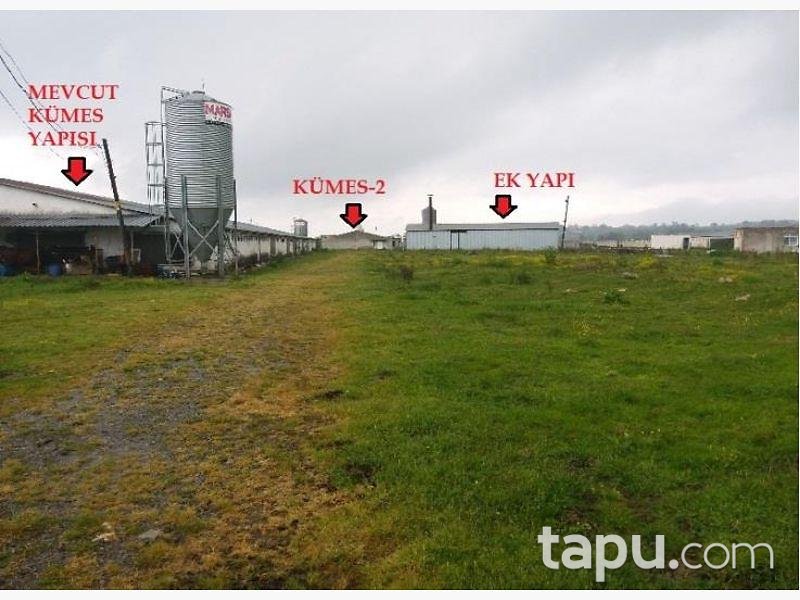 Sakarya Kaynarca Büyükyanık Mahallesinde Tavuk Çiftliği Ev ve Tarla