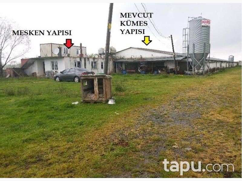 Sakarya Kaynarca Büyükyanık Mahallesinde Tavuk Çiftliği Ev ve Tarla