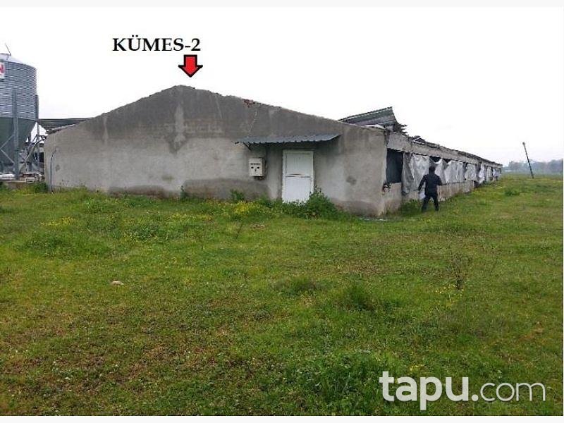 Sakarya Kaynarca Büyükyanık Mahallesinde Tavuk Çiftliği Ev ve Tarla