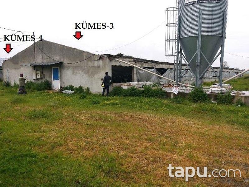 Sakarya Kaynarca Büyükyanık Mahallesinde Tavuk Çiftliği Ev ve Tarla