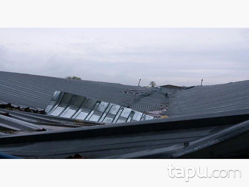 Sakarya Kaynarca Büyükyanık Mahallesinde Tavuk Çiftliği Ev ve Tarla