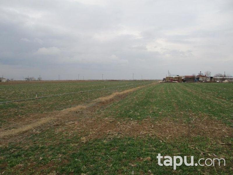 Konya Karatay İstiklal Mahallesinde 1.487 m2 İmarlı Arsa