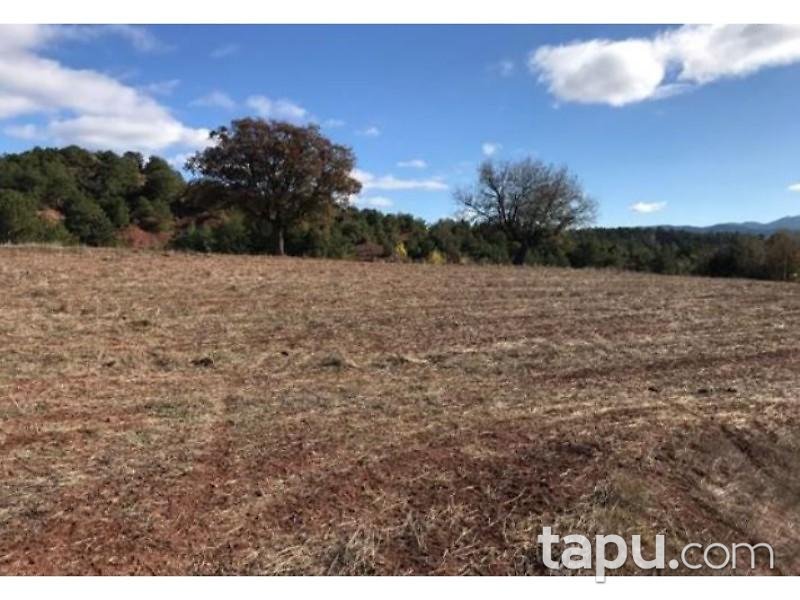 Bolu Göynük Güneyçalıca Mahallesinde 5.616 m2 Tarla