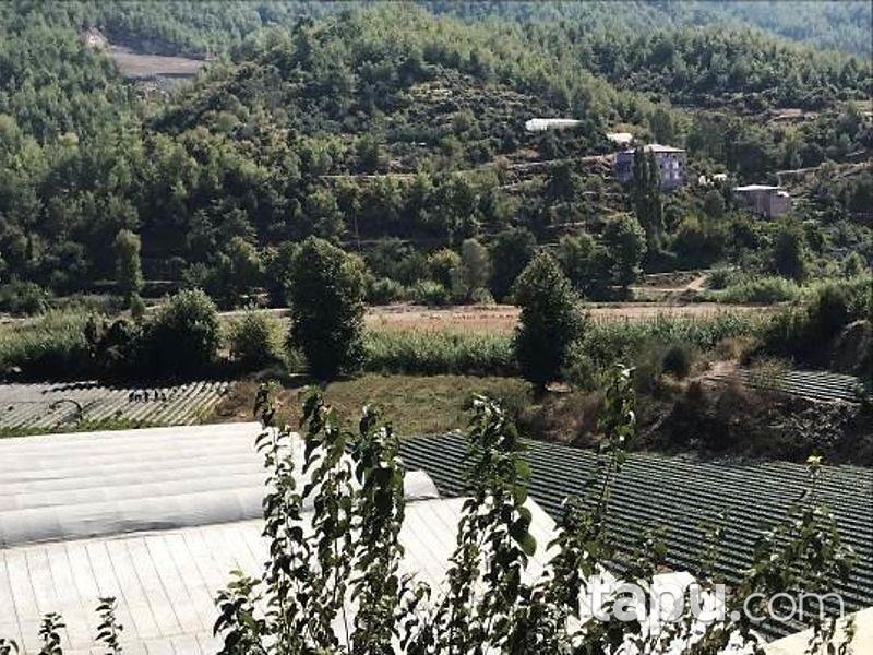 Mersin Anamur Gercebahşiş Köyünde Toplam 736 m2 Yüzölçümlü 2 Tarla