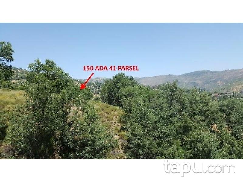 Aydın Nazilli'de 10217 m2 Tarla