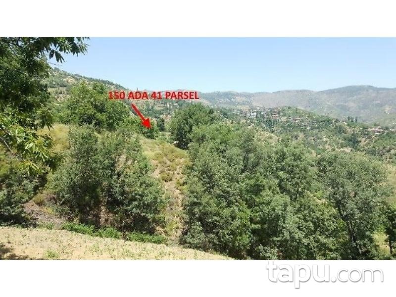 Aydın Nazilli'de 10217 m2 Tarla