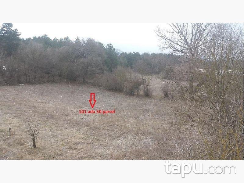 Bolu Göynük Ceylanlı Köyünde 4.527 m2 Tarla