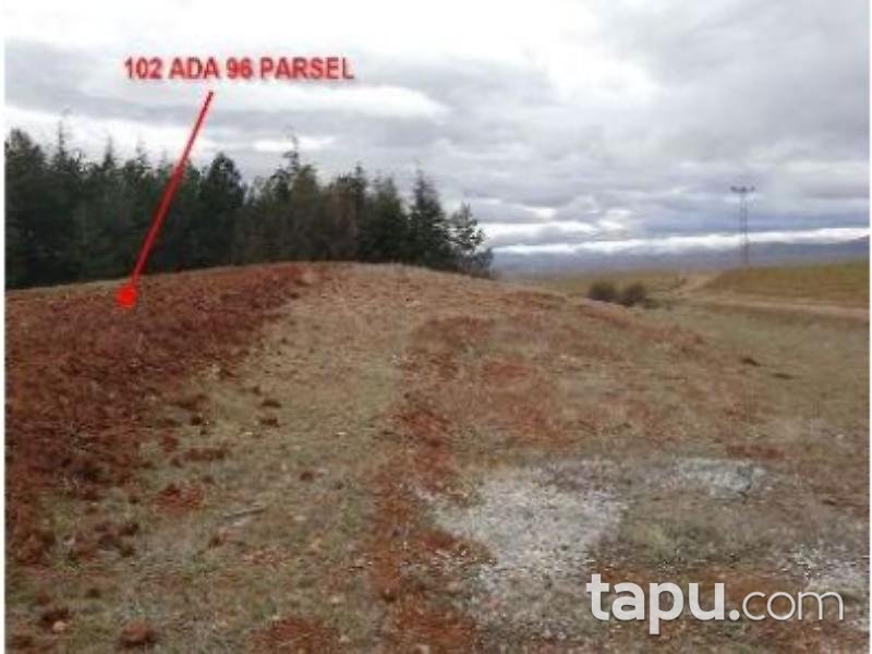 Konya Ilgın Dere Mahallesinde 3 Adet 57 Dönüm Tarla