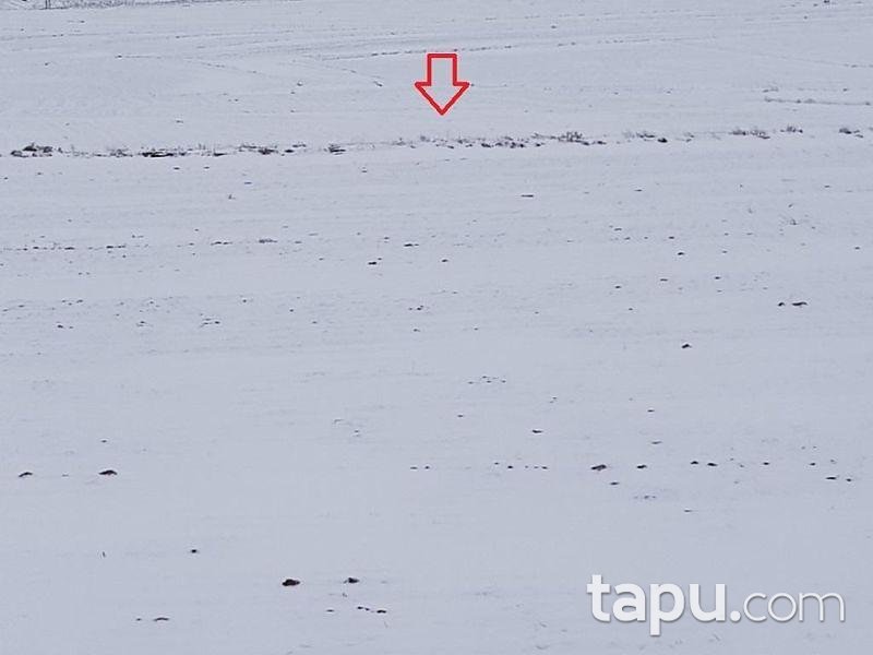 Sivas Şarkışla Demirboğa Köyünde 28 Dönüm Tarla