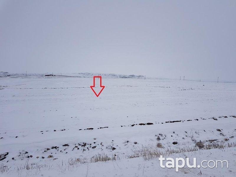 Sivas Şarkışla Demirboğa Köyünde 28 Dönüm Tarla