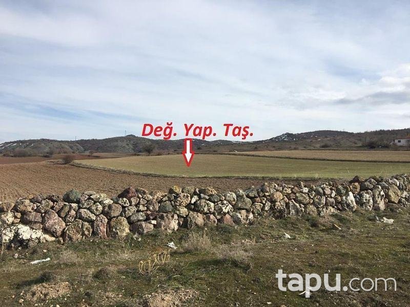 Tokat Yeşilyurt Damlalı Köyünde 8.550 m2 Tarla