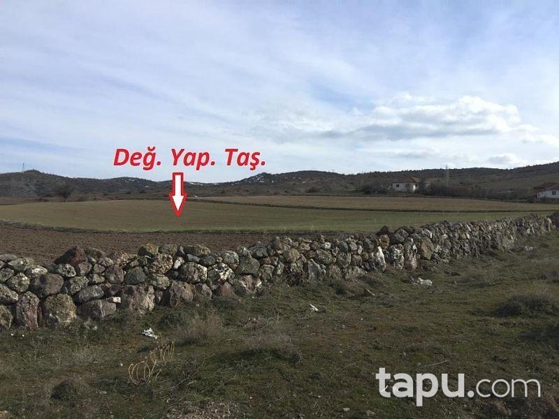 Tokat Yeşilyurt Damlalı Köyünde 8.550 m2 Tarla