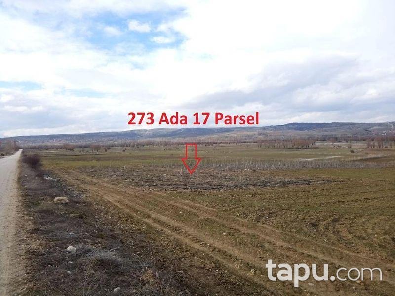 Afyonkarahisar Sinanpaşa Güney Aşağı Mahallesinde 2.348 m2 Tarla