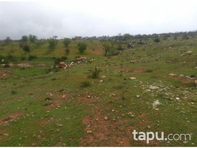 Gaziantep Şahinbey Durantaş Mahallesinde 2622 m2 Tarla