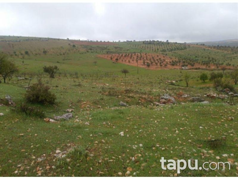 Gaziantep Şahinbey Durantaş Mahallesinde 2622 m2 Tarla