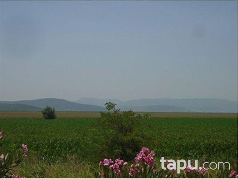 İzmir Torbalı Pancar Mahallesinde Hisseli 18.227 m2 Tarla