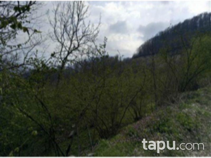 Sakarya Hendek Karadere Köyünde 3120 m2 Tarla