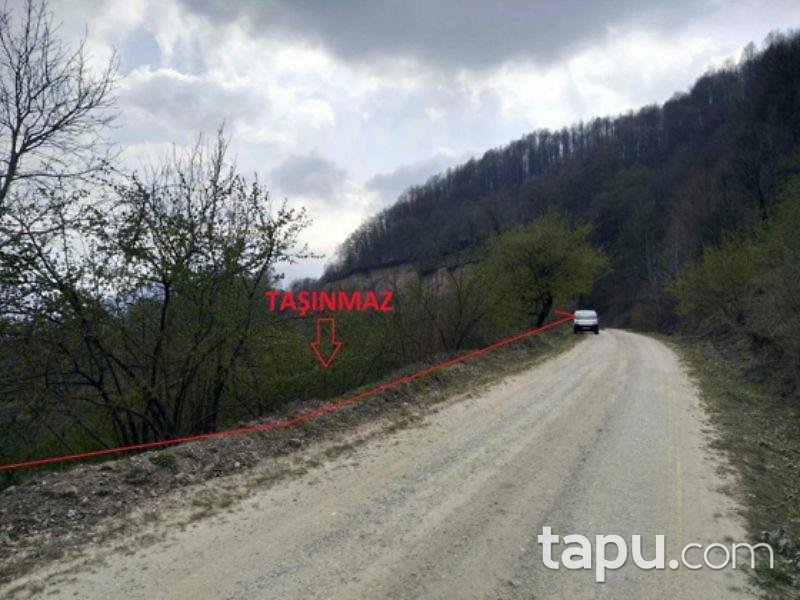 Sakarya Hendek Karadere Köyünde 3120 m2 Tarla