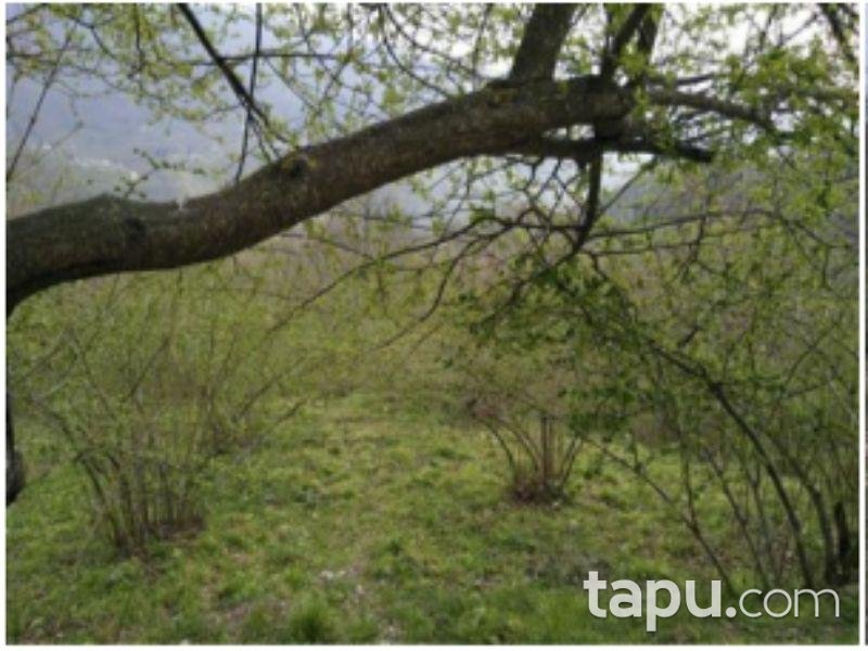 Sakarya Hendek Karadere Köyünde 3120 m2 Tarla