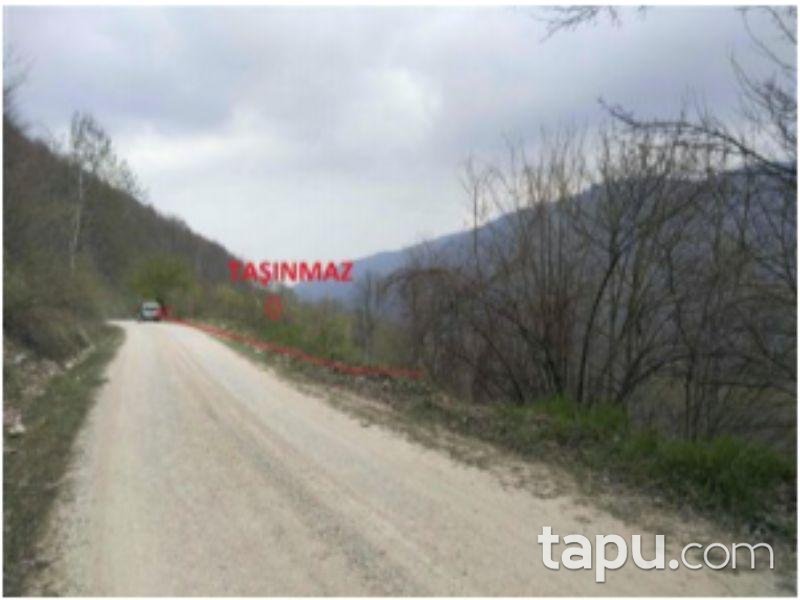 Sakarya Hendek Karadere Köyünde 3120 m2 Tarla