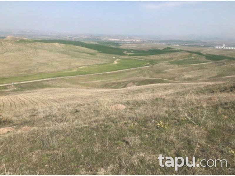 Çorum Sungurlu Derekışla Köyü Gökyar Mevkiinde 10600 m2 Tarla
