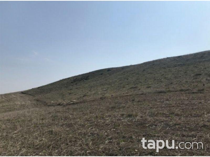 Çorum Sungurlu Derekışla Köyü Gökyar Mevkiinde 10600 m2 Tarla