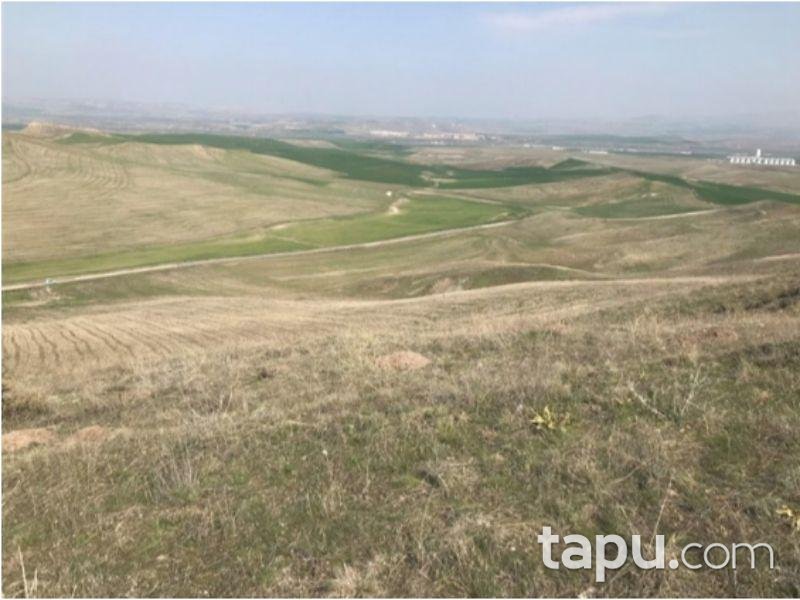 Çorum Sungurlu Derekışla Köyü Akkaya Mevkiinde 16900 m2 Tarla