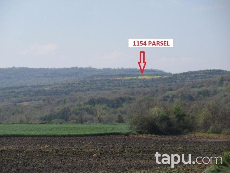 Tekirdağ Süleymanpaşa İnecik Mahallesinde 9.700 m2 Tarla